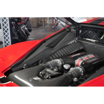 Caches latéraux du moteur carbone Capristo Ferrari 458 Speciale/Aperta 2013-2015 03FE00410009LG