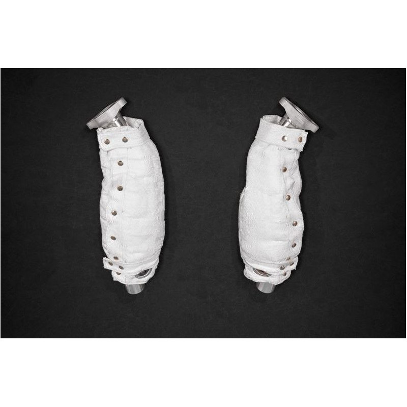 Catalizadores deportivos de 250 celdas de acero inoxidable con protección térmica Capristo Ferrari 355 1995-1999 02FE03003012