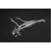 Système d'échappement complet en inox avec valve et tubes centraux Capristo Rolls Royce Cullinan 2018-2027 02RR12903006X