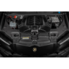 Admisión de carbono Eventuri Porsche Cayenne 2020+ GTS, 2019+ Turbo S 4.0 TFSI 2018-2026 EVE-4V8TT-CF-INT