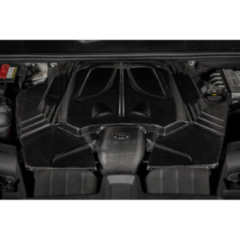 Ansaugsystem aus Carbon Eventuri Porsche Cayenne 2018+ 3.0 V6 Single Turbo 2018-2026 EVE-CYNV6-CF-INT