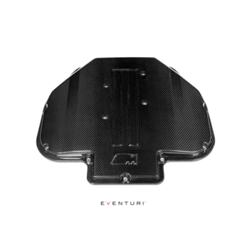 Plenum in carbonio Eventuri BMW S62 V8 1998-2003 EVE-S62-CF-PLM