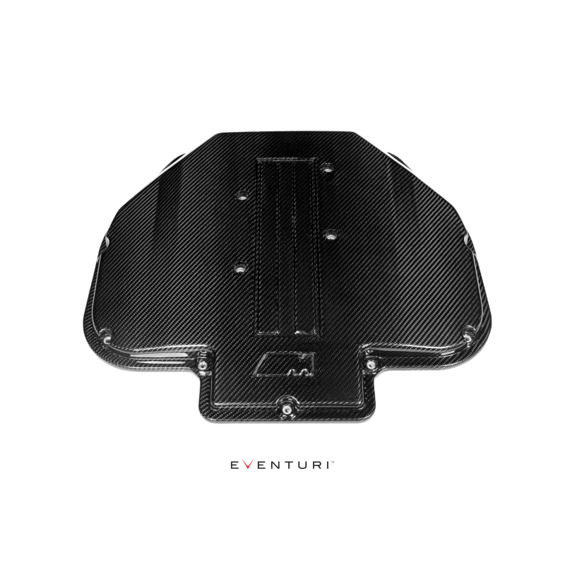 Plenum de carbono Eventuri BMW S62 V8 1998-2003 EVE-S62-CF-PLM