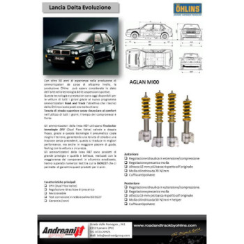 Ohlins Andreani AGLAN MI00 Road & Track suspension kit Lancia Delta HF Integrale Evoluzione 1991-1993